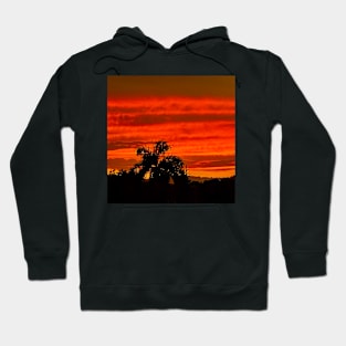 Tropical Red Sunset Hoodie